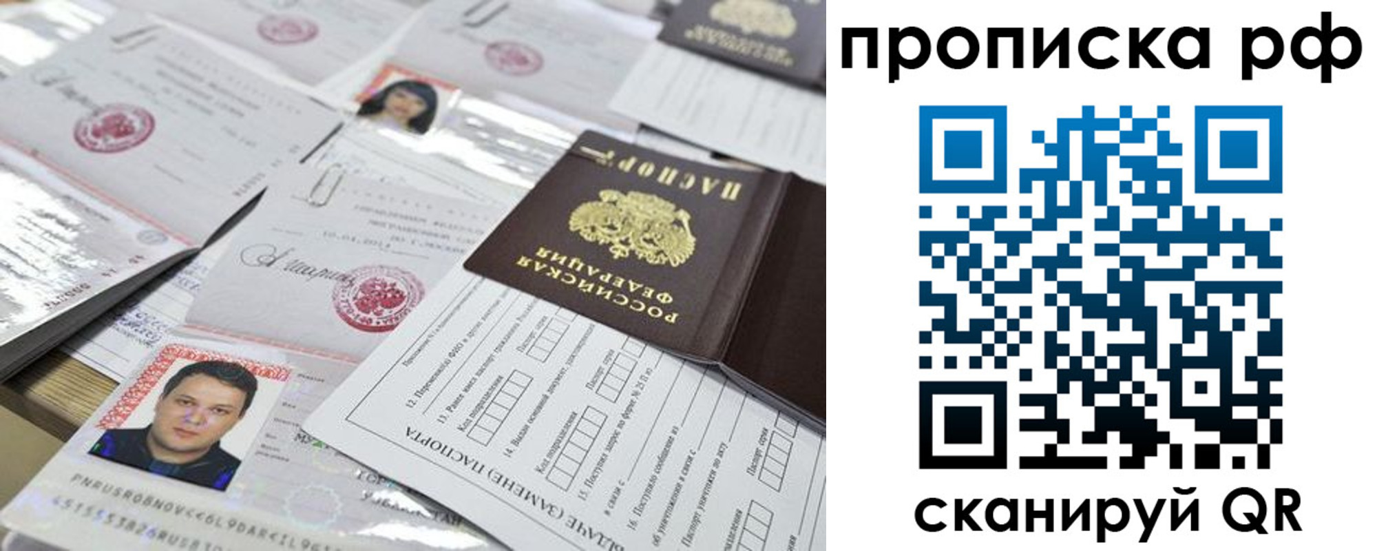 прописка 2025 в Сафоново